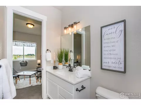 1911 Cloud Ct, Windsor, CO 80550 photo 22