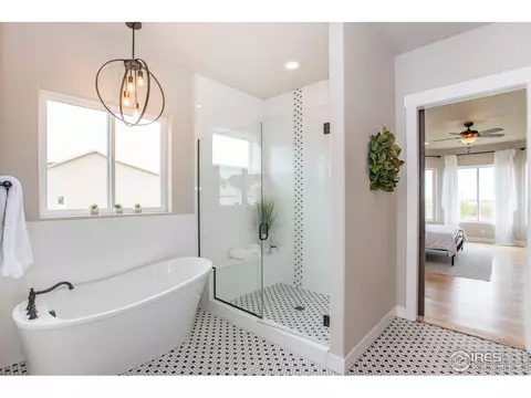 1911 Cloud Ct, Windsor, CO 80550 photo 13