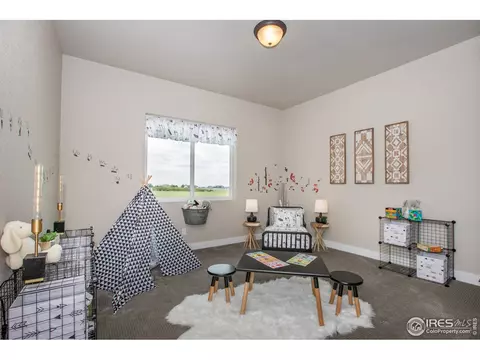 1911 Cloud Ct, Windsor, CO 80550 photo 24