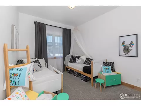 1901 Cloud Ct, Windsor, CO 80550 photo 26