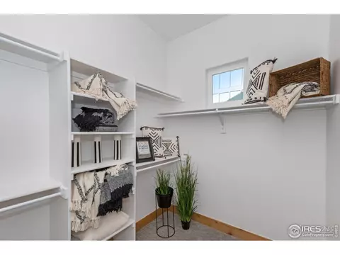 1901 Cloud Ct, Windsor, CO 80550 photo 23