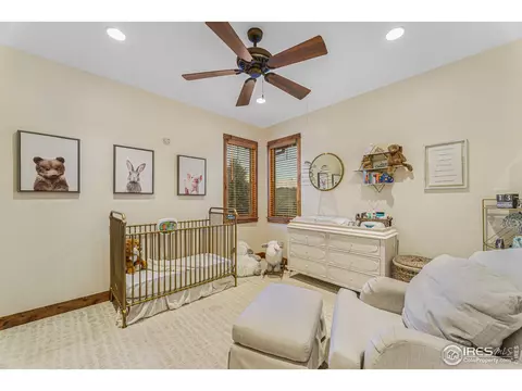 2069 Bayfront Dr, Windsor, CO 80550 photo 19