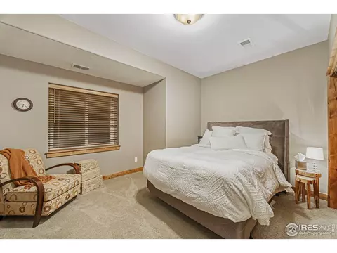 2069 Bayfront Dr, Windsor, CO 80550 photo 24
