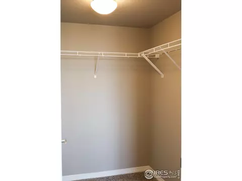 1678 Marbeck Dr, Windsor, CO 80550 photo 36