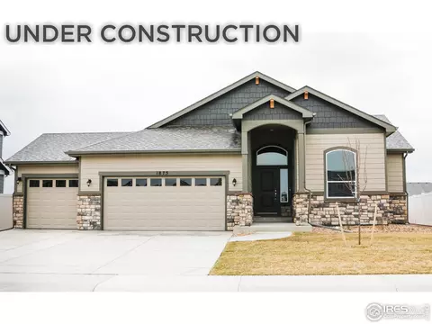 1675 Illingworth Dr, Windsor, CO 80550 photo 1