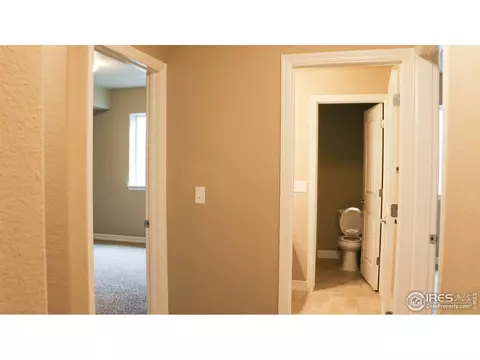 1675 Illingworth Dr, Windsor, CO 80550 photo 14