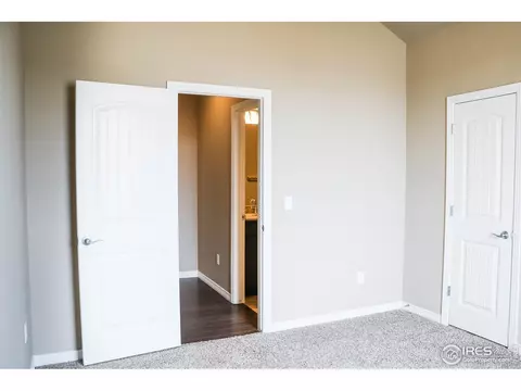 1675 Illingworth Dr, Windsor, CO 80550 photo 22
