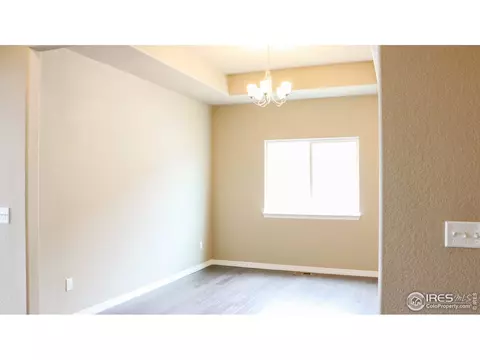 1675 Illingworth Dr, Windsor, CO 80550 photo 21