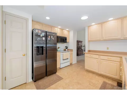 9322 Bauer Ct, Lone Tree, CO 80124 photo 14