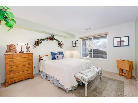 9322 Bauer Ct, Lone Tree, CO 80124 photo 28