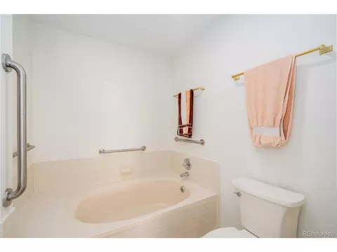 9322 Bauer Ct, Lone Tree, CO 80124 photo 19