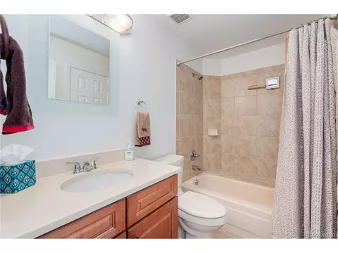 9322 Bauer Ct, Lone Tree, CO 80124 photo 24