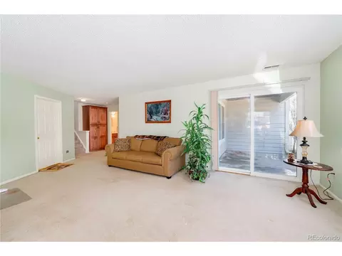 9322 Bauer Ct, Lone Tree, CO 80124 photo 27
