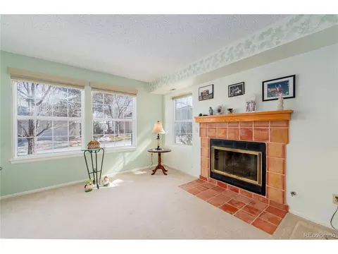 9322 Bauer Ct, Lone Tree, CO 80124 photo 26