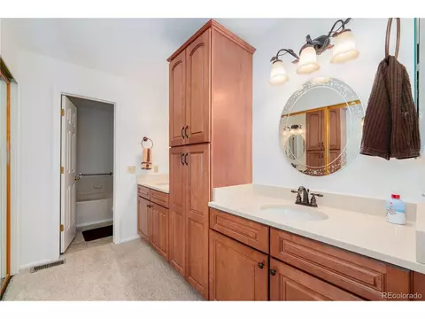9322 Bauer Ct, Lone Tree, CO 80124 photo 17