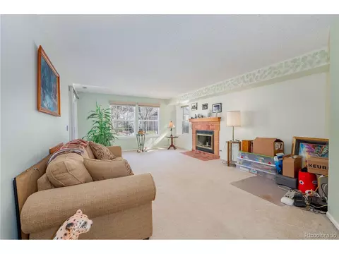 9322 Bauer Ct, Lone Tree, CO 80124 photo 25