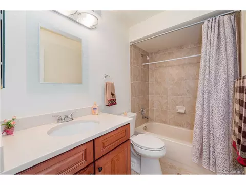 9322 Bauer Ct, Lone Tree, CO 80124 photo 29