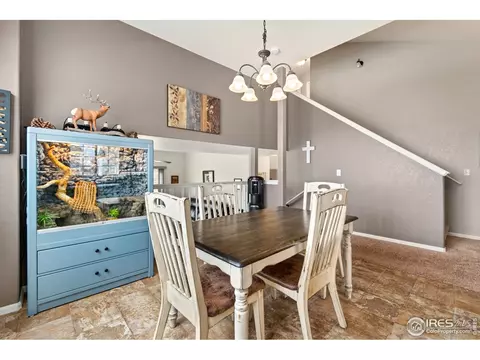 595 Cherryridge Dr, Windsor, CO 80550 photo 3