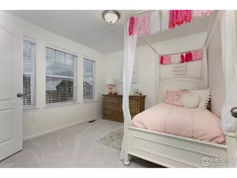 5382 E 143rd Dr, Thornton, CO 80602 photo 15