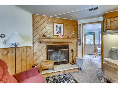 818 Riverside Dr, Lyons, CO 80540 photo 9