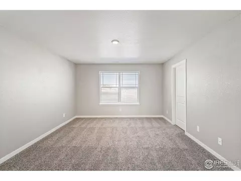4514 Bishopsgate Dr, Windsor, CO 80550 photo 16