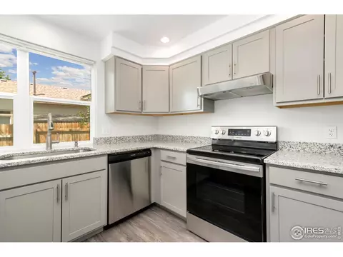 4487 Dunkirk Way, Denver, CO 80249 photo 9