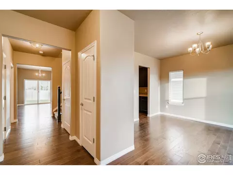 5561 Maidenhead Dr, Windsor, CO 80550 photo 27