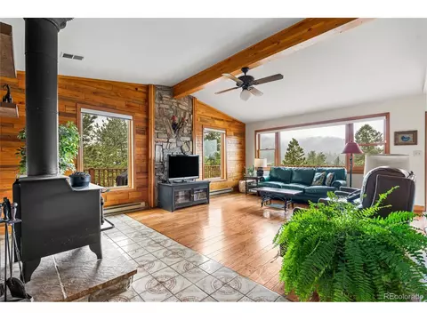 Living - 48 Allen Cir, Pine, CO 80470 photo 4 of 6
