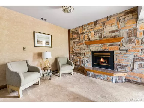 Living - 48 Allen Cir, Pine, CO 80470 photo 5 of 6