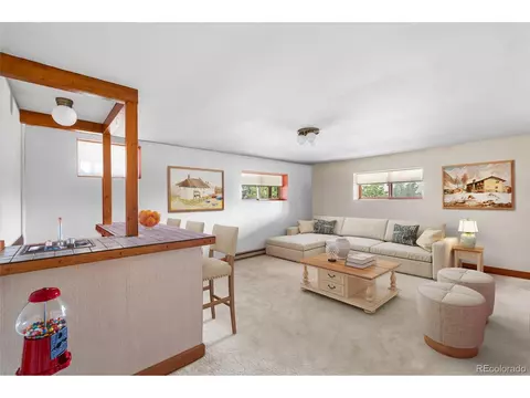 Living - 48 Allen Cir, Pine, CO 80470 photo 6 of 6