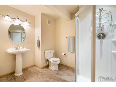 855 Amber Ct, Windsor, CO 80550 photo 24
