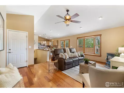 855 Amber Ct, Windsor, CO 80550 photo 5