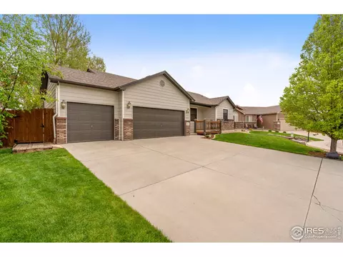 855 Amber Ct, Windsor, CO 80550 photo 1