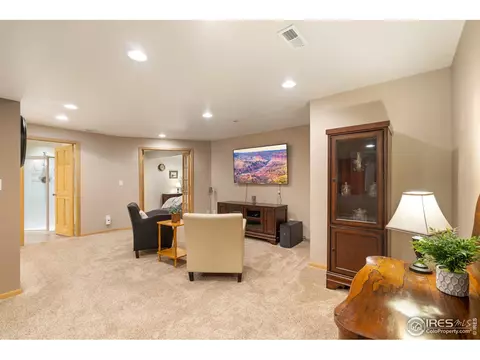 855 Amber Ct, Windsor, CO 80550 photo 18
