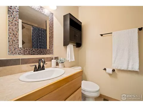 855 Amber Ct, Windsor, CO 80550 photo 16