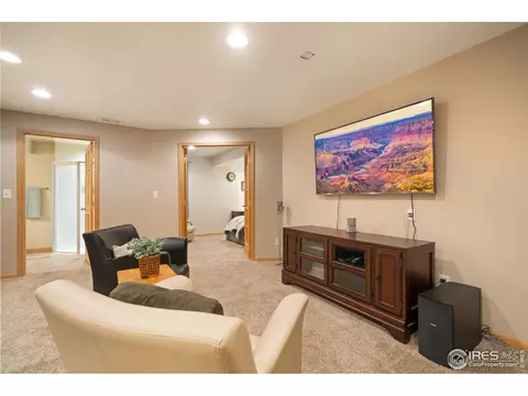 855 Amber Ct, Windsor, CO 80550 photo 20