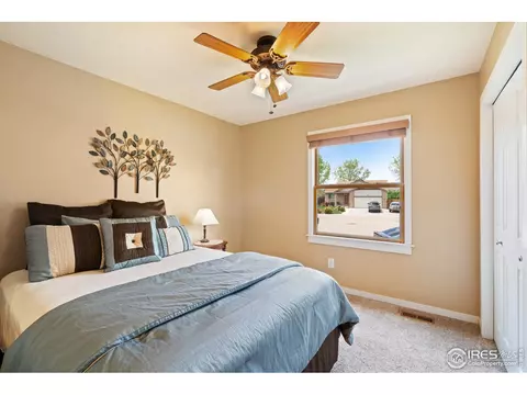 855 Amber Ct, Windsor, CO 80550 photo 14