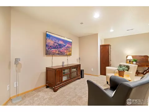 855 Amber Ct, Windsor, CO 80550 photo 19