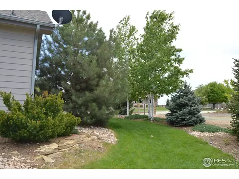 7903 Skyview St, Greeley, CO 80634 photo 6