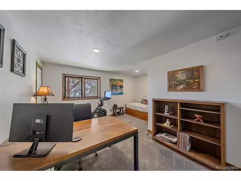 10376 Horizon View Dr, Morrison, CO 80465 photo 28