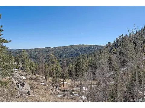 10376 Horizon View Dr, Morrison, CO 80465 photo 31