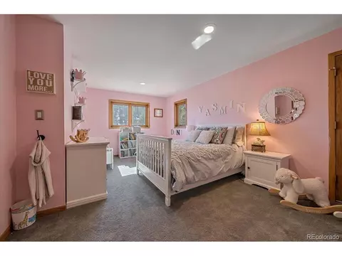 10376 Horizon View Dr, Morrison, CO 80465 photo 18