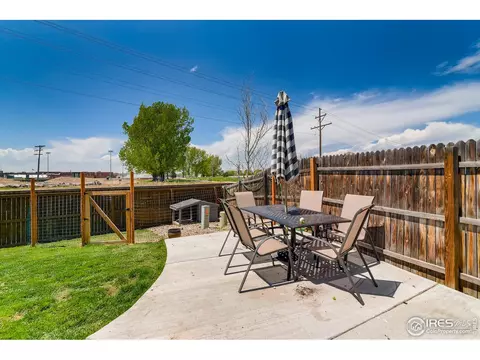 865 Durum St, Windsor, CO 80550 photo 28