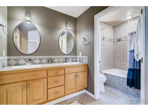 865 Durum St, Windsor, CO 80550 photo 18