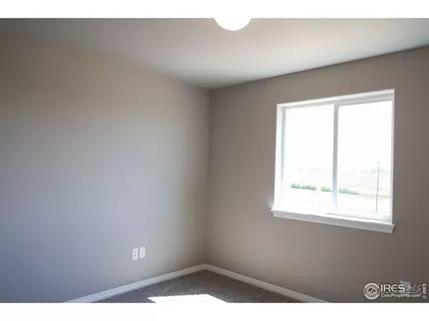 1663 Illingworth Dr, Windsor, CO 80550 photo 20