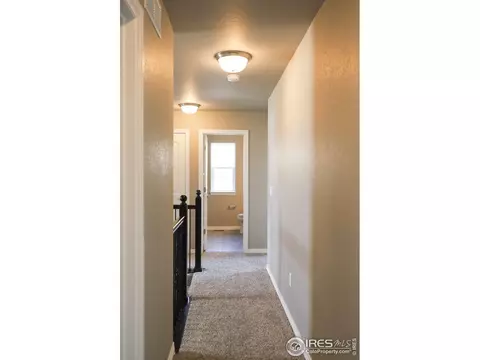 1663 Illingworth Dr, Windsor, CO 80550 photo 26