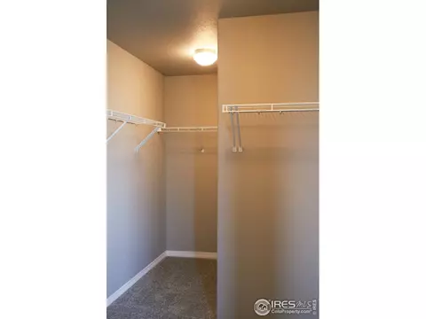 1663 Illingworth Dr, Windsor, CO 80550 photo 31