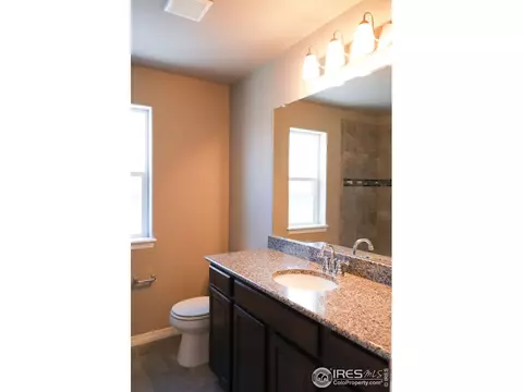 1663 Illingworth Dr, Windsor, CO 80550 photo 15