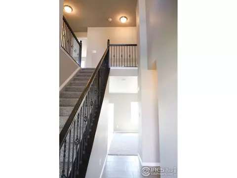 1663 Illingworth Dr, Windsor, CO 80550 photo 2