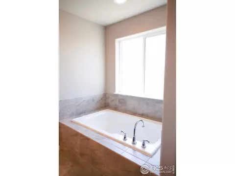 1663 Illingworth Dr, Windsor, CO 80550 photo 36